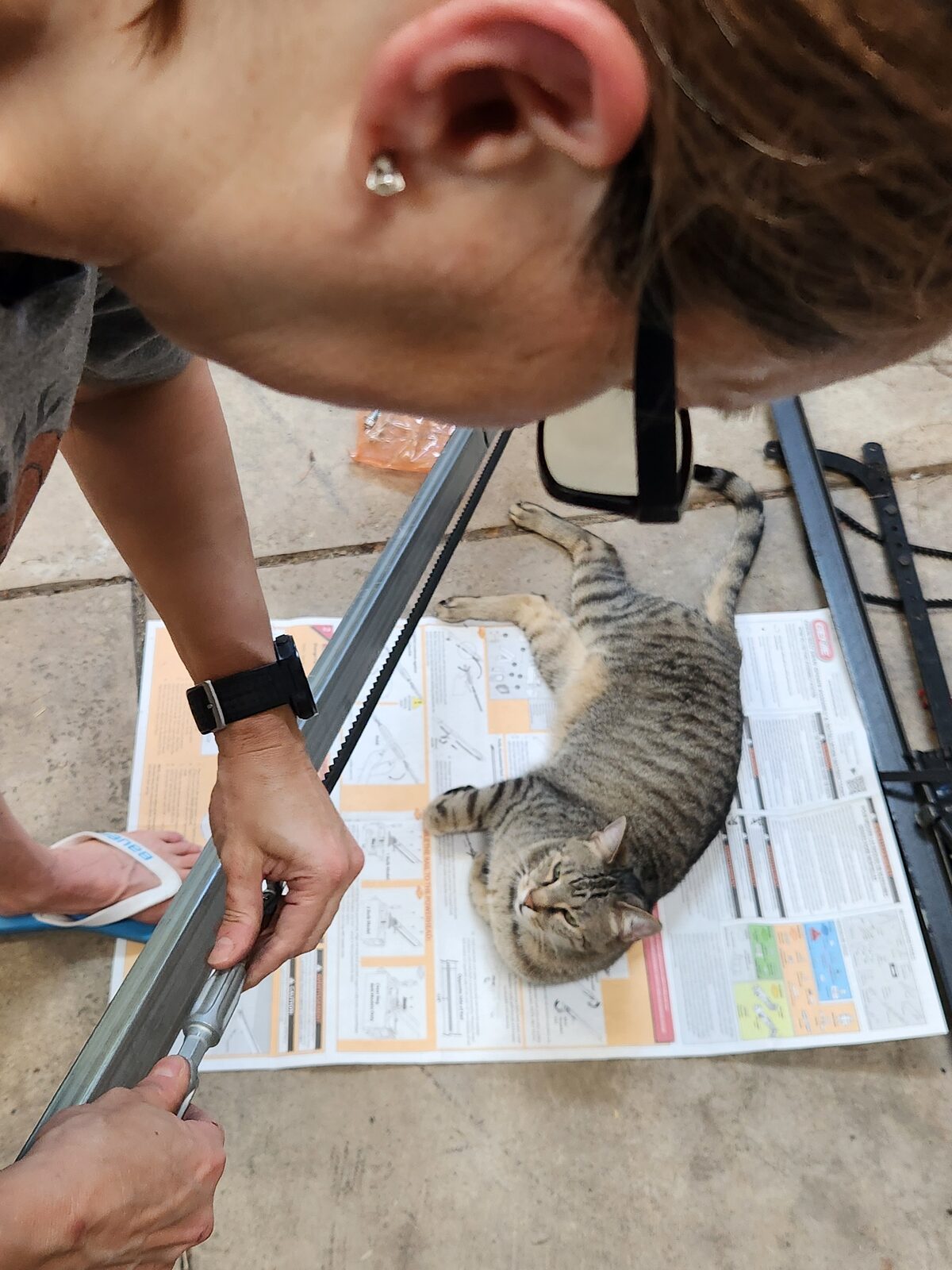 Zeke the cat lying on the opener instructions